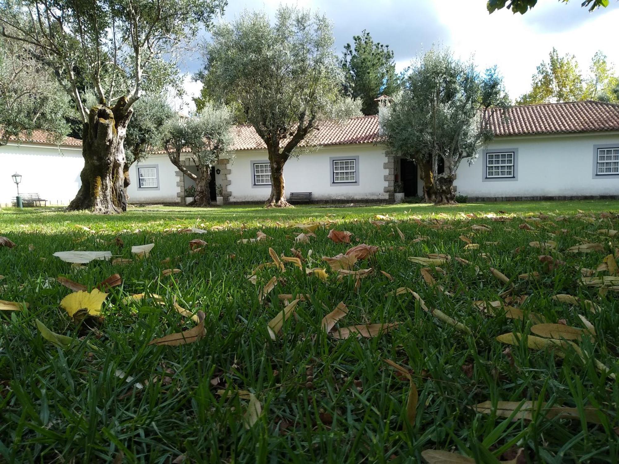 Casas Do Zagao - Turismo Rural Carregal do Sal Exterior foto